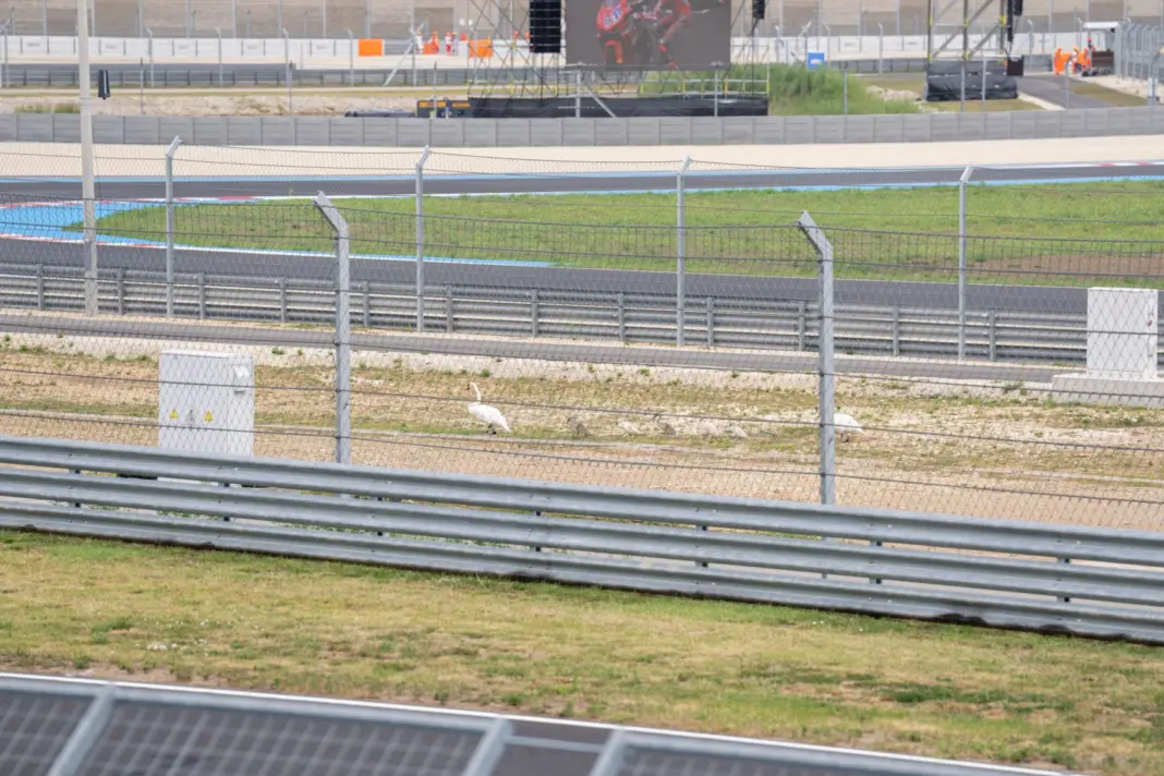 Balaton Park Circuit, 2025, vasárnap