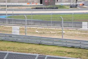 Balaton Park Circuit, 2025, vasárnap