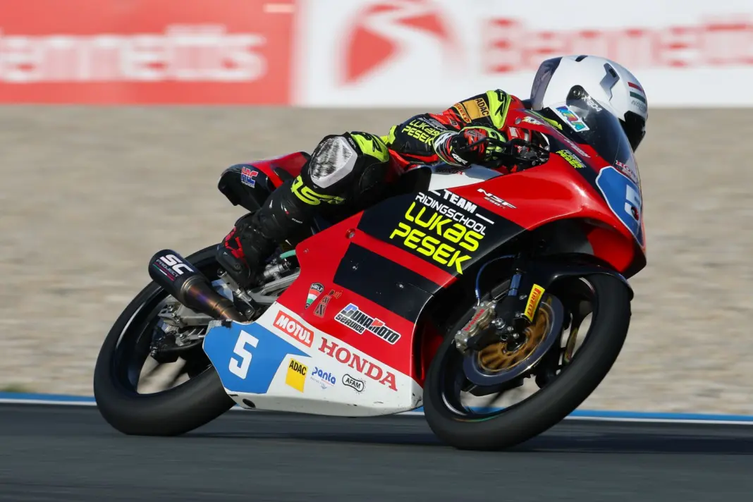 Lukács Tamás, 2026